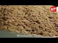 How Pasta Is Made In Factory | Biggest Pasta Factory Process