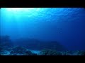 【睡眠用・ASＭR】 ダイビングの呼吸音 / underwater scuba diving sounds ASＭR