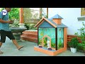 Build low budget dream dog house and fish tank combo