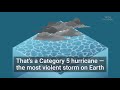 Most hurricanes that hit the US come from the same exact spot in the world