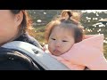 camping/수주팔봉 /노지의 성지/캠핑 요리/카라반 빠져서 🐕 고생한 이야기/ 가족캠핑