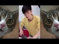 cut cat kitten funny moments 🐾 #cats #cat #catvideos😘😘 Funny And Cute Cats Videos 2024 🤣