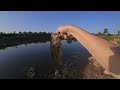 How Good is this Goby Style Bait for Catching Fish? | Summer Bass Fishing