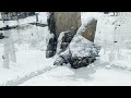 Снежный Ереван - Snowy Yerevan [30012023]