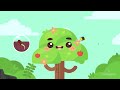 Plant Life Cycle Stages From Seed To Fruit | Primary School Science Animation