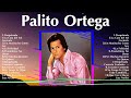 Palito Ortega 2024 ~ Best Songs, Greatest Hits, Full Album