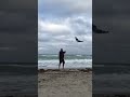 2015 Hollywood beach kite