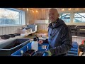 How to Winter Sow in an Unheated Greenhouse | Full Guide (no milk jugs) | Perennial Garden