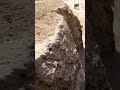 close-up of the stone blocks of the Great pyramid of Giza