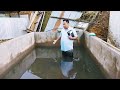 Aghunato Town Baptist Church Baptism by Atovi Chophi Pastor ATBC |Nito Mount| 30-3-2024