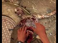 dying light lets play 2 fr