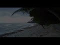 Relaxed stay under palm trees on a beach in Praslin - Seychelles  | ASMR