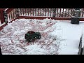 Redcat gen7 with snowplow video 2
