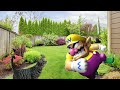 Wario dies after being attacked by a stray cat in his backyard