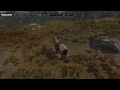 Skyrim Mod: Immersive Horses