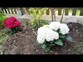 Few days in a life, #gardening #fleamarket #fypyoutube