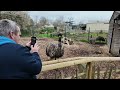 Hertfordshire Zoo - 31 March 2024