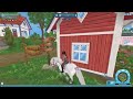 Star Stable Training Time! #30 - Your Assumptions About Me! 😬