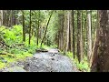 Heather Lake Trail: A Rainy Midsummer Walk (5)