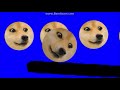 The 2017 Doge Olympics ~ Torch and First Event