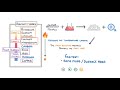 GCSE Chemistry - Reactivity Series of Metals & Displacement Reactions #37