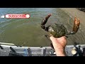 BIG MUD CRABS - Pots full of crabs | Catching SEAFOOD FEAST | Catch and Cook