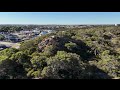 Drone Views: Unveiling the Beauty of Wild Trees and Bushes | Capricorn Media Group