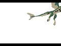 pteracuda (sharktopus vs pteracuda) test