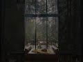 #relax #lofi #rain #chill #livewallpaper #calm #aesthetic #music #rainsounds #peace #shorts