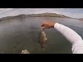 Echo Reservior Utah 5 LB Brown Kayak Fishing plus trout and bass Hobie