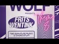 Frits Wentink - Theme 8