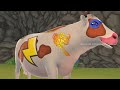 Super Cow vs T-Rex Dinosaur! Wild Animals Rescue Adventure | Super Cow's Heroic Rescue