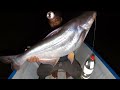 Ikan patin sungai kelai, Rekor baru super besar #SLM
