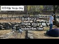 서울 양재천에 봄이 왔네요. 따스한 햇살아래 축제가 열립니다. Yanggaecheon stream in Seoul