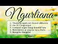 Ngurliana - Full Audio Album (Mizo Oldies)