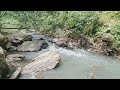 Sound Nature river make calm#relaxation#alamindah #nature#jember #fypシ#rilex