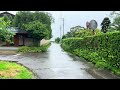 Heavy Rain in Japan | Relaxing Nature Walk | ASMR 4K | Here Comes Relaxation