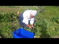 Un grupo de mujeres se dedican a la agricultura orgánica.