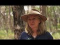 Fighting Fire with Fire: Combining traditional and modern burning techniques | ABC Australia