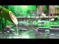 Peaceful Music, Water Sounds & Relaxing Music - Healing of Stress and Anxiety, Bamboo Fountain