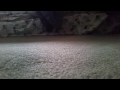 Cleaning my cousins carpet with Bissell ProHeat Pe