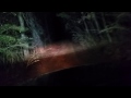 Night riding in the woods