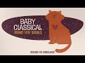 Piano Music for Babies ✬ Baby Classical ✬ Songs for calming your baby