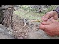 Hand Drill Fire Making | Can't Find a Drill??