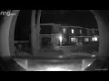 Dogs on Ring Camera