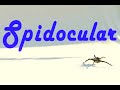 Spidocular