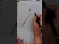 Renuka Art Galore is live Still life drawing tutorial