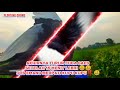 JENIS MERPATI INI COCOK DI BUAT FREE FLY‼️#merpatifreefly #viralvideo #merpatikupu2 #plontanggiring