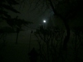 2011-02-01-blizzard06.wmv