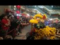 Lion dance in Chinese new year